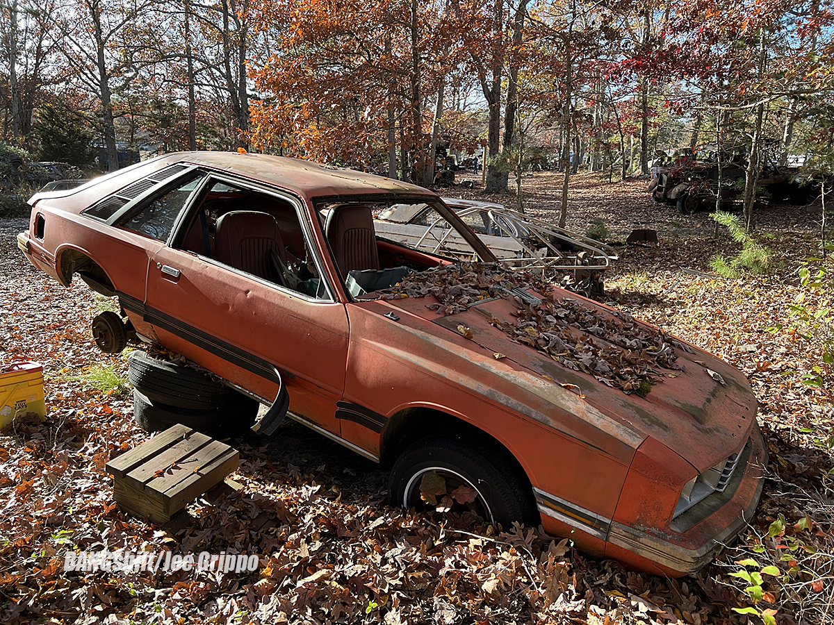 Flemings Pumpkin Run JUNKYARD Photos! Here's Our Final Gallery From This Awesome Spot!
